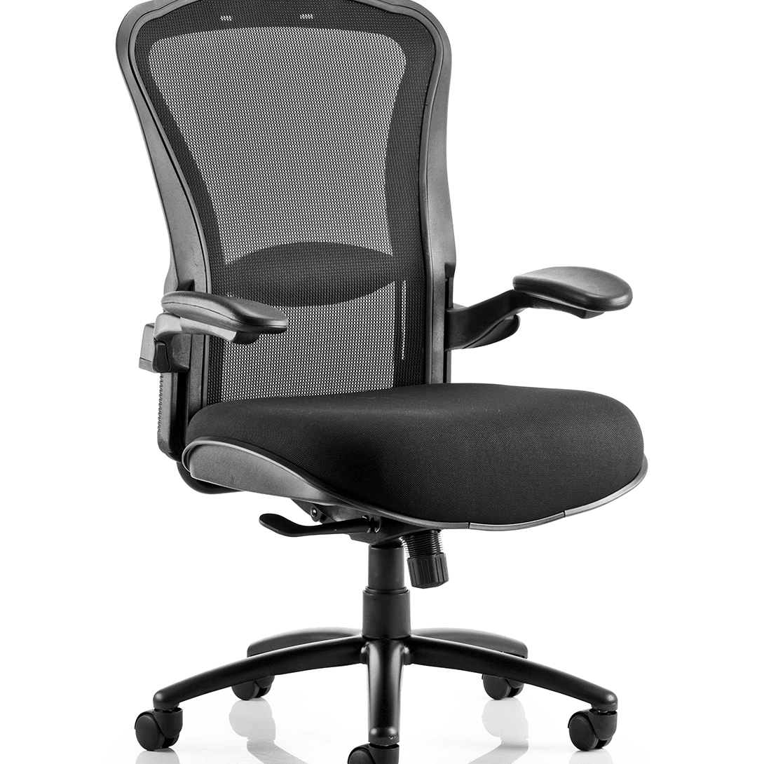 Large High Back Computer Chair with Dynamic Lumbar Support, Tilt and L